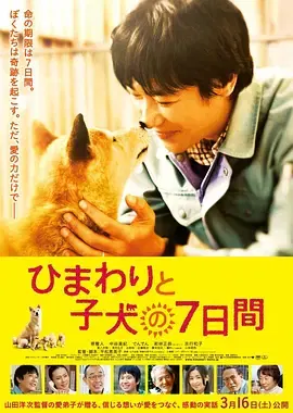 【剧情片】向日葵与幼犬的7天