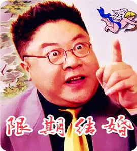 【剧情片】限期结婚