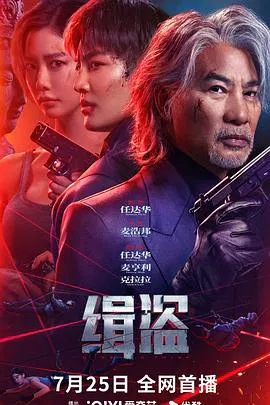 【剧情片】缉盗